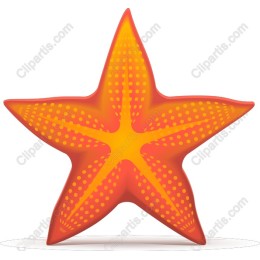 Vibrant Starfish