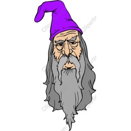 Magical Wizard