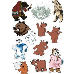 Bear Bundle