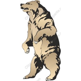 Majestic Bear