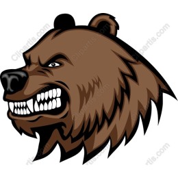Grizzly Bear