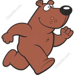 Playful Brown Bear