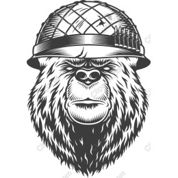 Military Bear