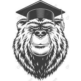 Graduating Bear
