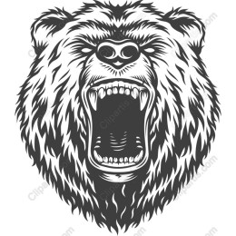 Roaring Bear