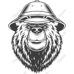 Explorer Bear