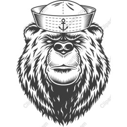 Sailor Bear