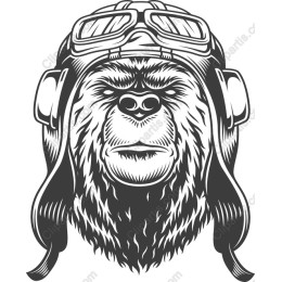 Pilot Gorilla