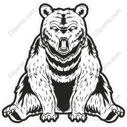 Majestic Bear
