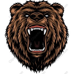Fierce Grizzly Bear