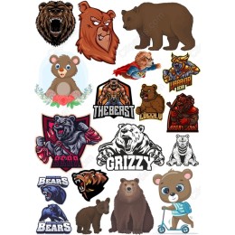 Bear Bundle