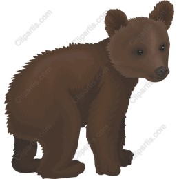 Playful Bear Cub