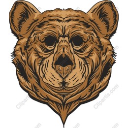 Majestic Bear Head