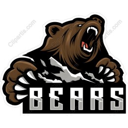 Fierce Bear