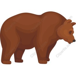 Brown Bear