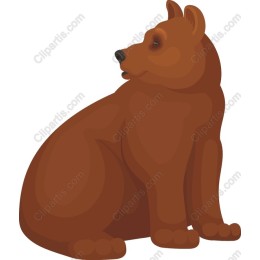 Brown Bear