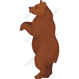 Majestic Brown Bear