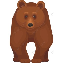 Majestic Bear