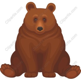Majestic Brown Bear