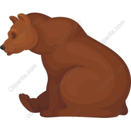 Brown Bear