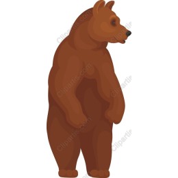 Charming Brown Bear