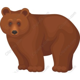 Charming Brown Bear