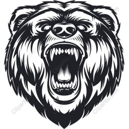 Roaring Bear Head