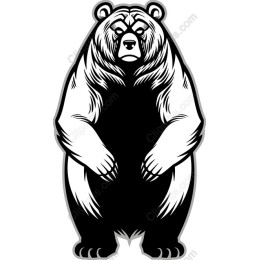 Majestic Bear