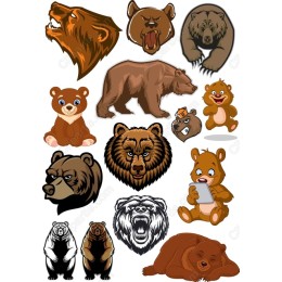 Bear-Themed Bundle: Set