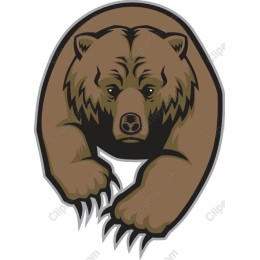 Fierce Bear