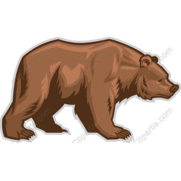 Majestic Brown Bear