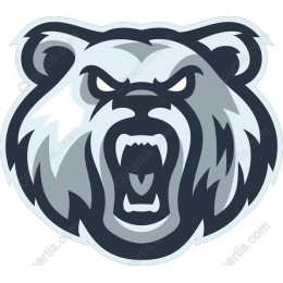Fierce Bear Head