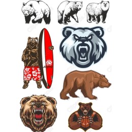Ultimate Bear Collection