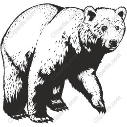 Majestic Bear