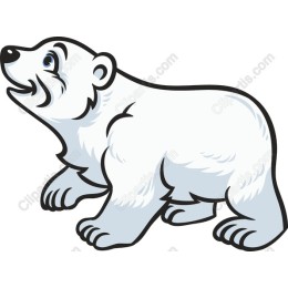 Polar Bear