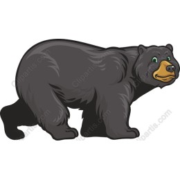 Charming Black Bear
