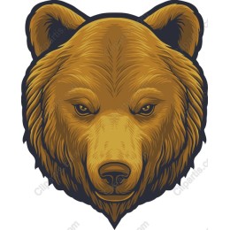 Grizzly Bear Head