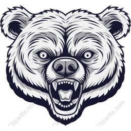 Fierce Bear Head