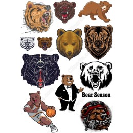 Bear Collection