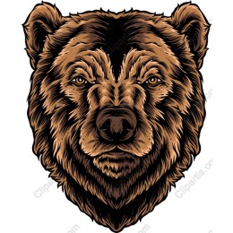 Fierce Bear Head