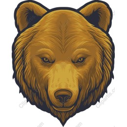 Majestic Bear Head