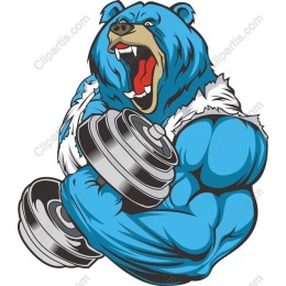 Muscle Bear
