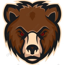 Grizzly Bear Head Graphic
