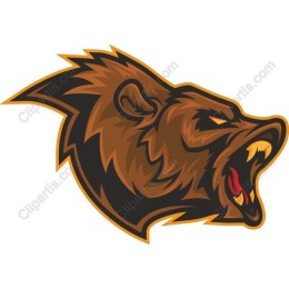 Fierce Bear Head