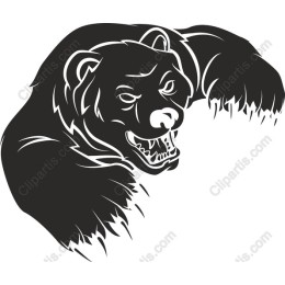 Fierce Bear
