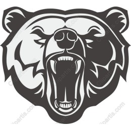 Roaring Bear