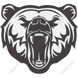 Roaring Bear
