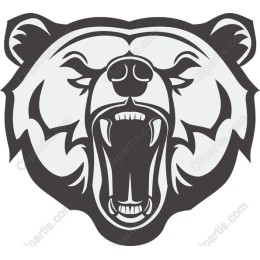 Fierce Grizzly Bear