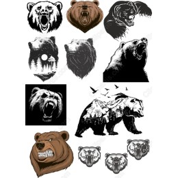 Bear Bundle - Fierce & Majestic