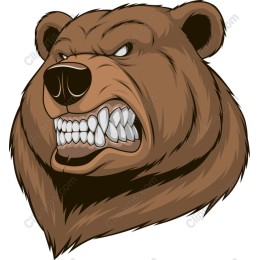 Fierce Bear Head